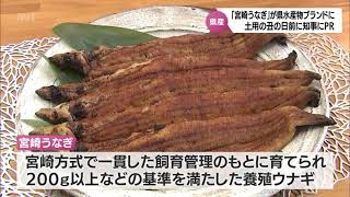 「宮崎うなぎ」が宮崎県の水産物ブランドに認証　「宮崎方式」で基準を満たした養殖ウナギが対象