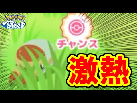 アゴジムシ厳選終われえええええ！！！！！【ポケモンスリープ】