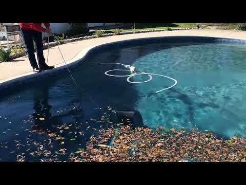 Magnet Fishing In My Pool