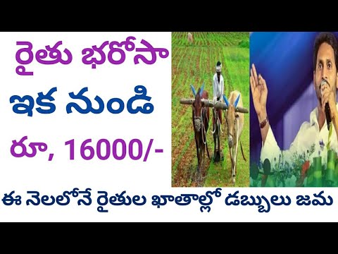 ap rythu bharosa 2024 latest news || ap rythu bharosa latest news #connectingchandra.