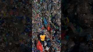 What if Plastics become biodegradable in nature? #plastic #waste #pollution #shorts