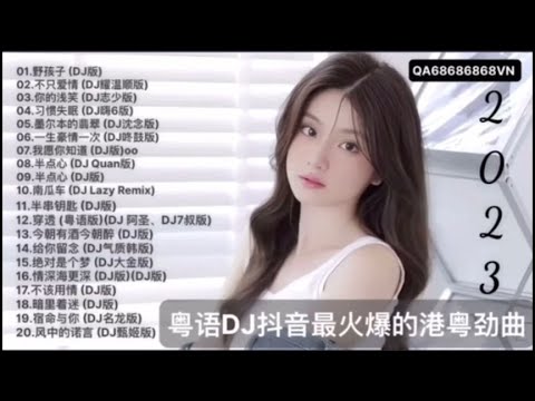 粤语DJ抖音最火爆的港粤劲曲