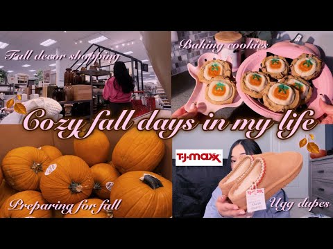 A COZY FALL VLOG: preparing for fall, decor shopping, baking cookies, fall haul, & cozy aesthetic 🤎🍂