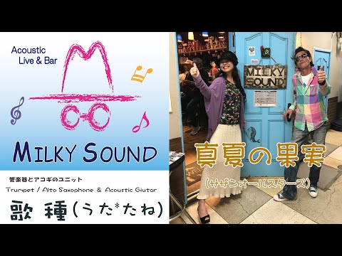 【 真夏の果実 / サザンオールスターズ 】Cover 神戸新開地音楽祭　2024.05.11