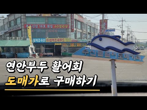 연안부두 활어회 도매가로 사는 방법(노량진보다 저렴함 주의)