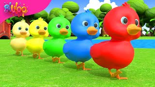 Five Little Ducks | Kids Songs | BluLoo Nursery Rhymes & Kids Songs