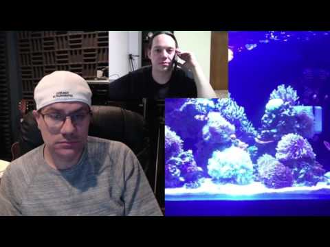 Reef Talk Saltwater All In One Tank or Sump CJ Aquariums Part 2