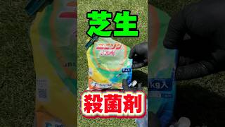 芝生の殺菌剤散布 梅雨の病害対策