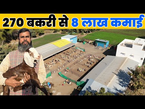 बिहार के लाल का मध्य प्रदेश में कमाल | IAS का सपना छोड़ बकरी पालन की ओर | Goat farmer