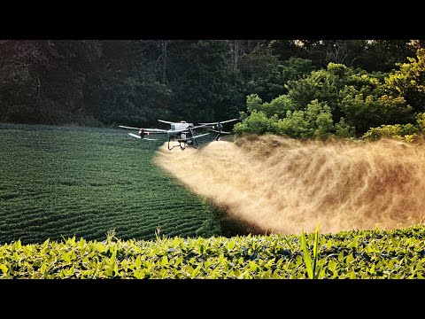 Spot Spraying Our Own Fields | Agri Spray Drones DJI T50