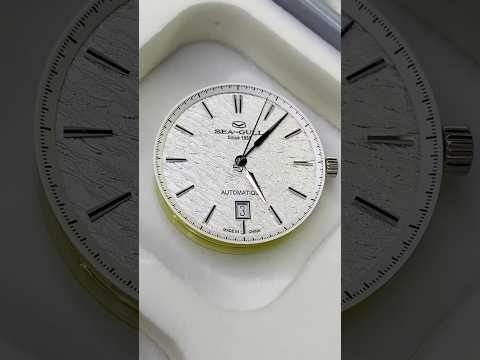 Sea-Gull Watch. Designer Series 10 Years Edition. Ref. 819.12.1133A  海鸥表 设计师系列十周年款