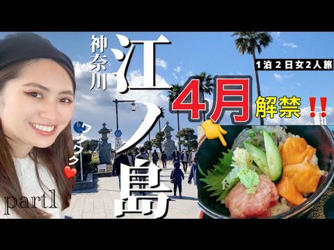 【秒で消える😱】江ノ島で食べるならここ！女2人が満足したしらす丼屋さん【神奈川グルメ】