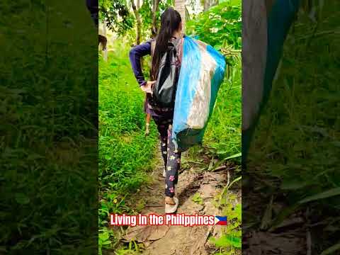 Life in the Philippines 🇵🇭 Walking On The Riverside 🇵🇭 #lifeinthephilippines #farmer #countryside