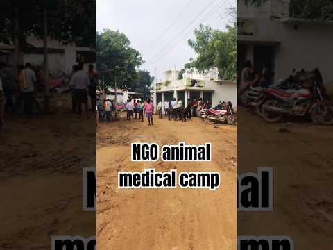 NGO medical camp #animals #human #village #shots #viralshort