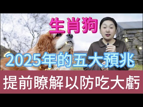 生肖狗注意！2025 年五大预兆揭晓，屬狗人早知道早受益，少吃亏赢未来！#風水 #生肖 #運勢 #佛教 #命理