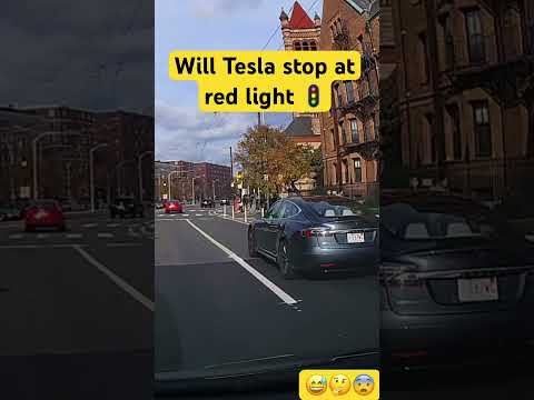 Tesla will not stop for red light. AI or not AI? #shorts #staysafe