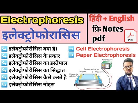 Electrophoresis in hindi | Gel Electrophoresis | Pepar Electrophoresis | Agarose Gel Electrophoresis