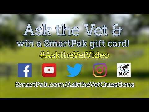 DAN ANSWERS A QUESTION! + Ask your horse health questions for the June episode of Ask the Vet