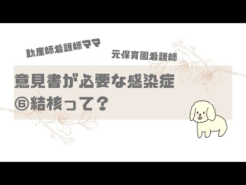 【保育園看護師】意見書が必要な感染症⑥結核とは？