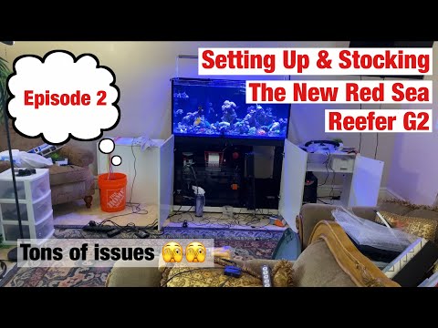 Setting Up the New Red Sea Reefer G2 and Adding Corals & Fish (Episode 2)