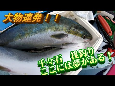 千々石　筏釣り　今年はお祭りです！