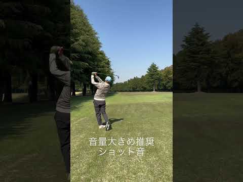 ショット音ASMR #ゴルフ #ゴルフスイング #golf #asmr #shorts