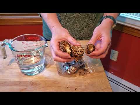 Grow Morels with a Spore Slurry!