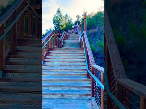 Hillcrest Stairs #HillcrestPark #Fullerton #OrangeCounty #California #shorts