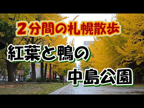 中島公園の鴨と紅葉