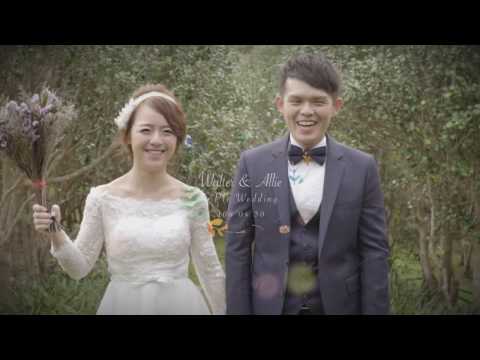 Allie&Walter 小清新婚紗側錄