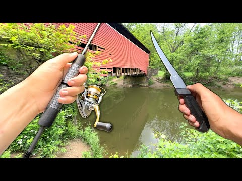 Eating Whatever I Catch.. Fishing a NEW Creek (Catch and Cook)