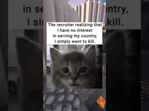 CAT MEMES 8