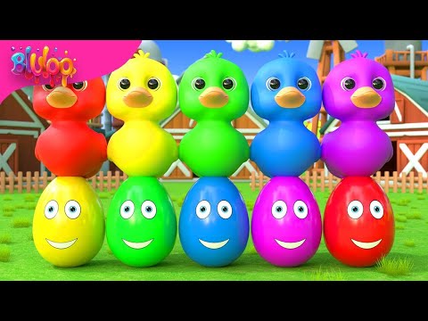 Five Little Ducks Song | Colorful Ducks | BluLoo Nursery Rhymes & Kids Songs