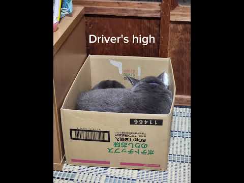 Driver's high