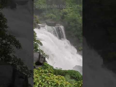 వాటర్ ఫాల్స్ #waterfall #mallallifalls #hassan #karnataka #waterfalls #shorts #youtubeshorts #malnad