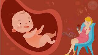 🎵🎵🎵 Pregnancy music for unborn baby ♥ Brain development ♥ Baby kick in the womb 🎵🎵🎵