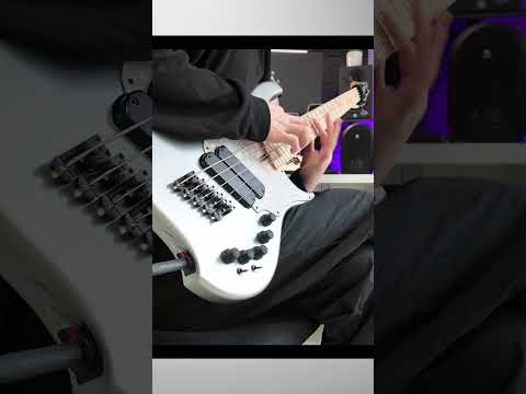 Tim Henson Riff on BASS (Furia De Pantera)