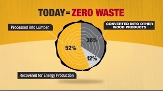 Wood Reduces the Environmental Impact of Buildings