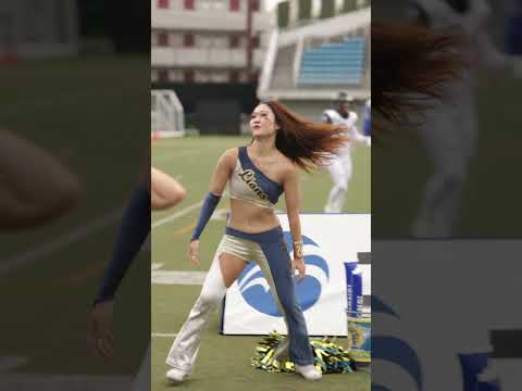 2024/09 All Mitsubishi Lions Cheerleaders #cheerleader