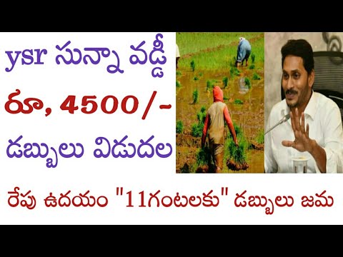 how to check ysr sunna vaddi status 2024 //ysr sunna vaddi payment status 2024