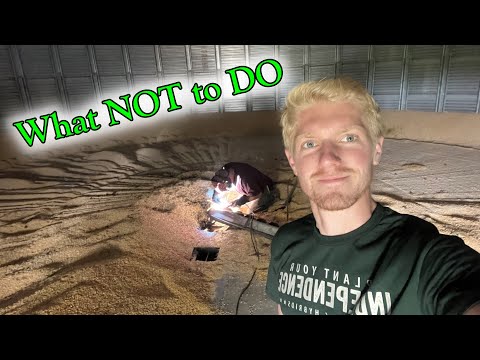 what NOT to do in a grain bin...