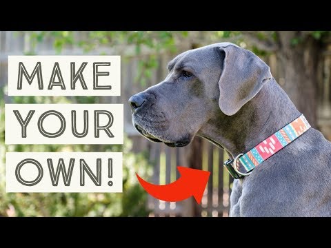 DIY Dog Collar - How to make your own custom dog collars! | Great Dane Care