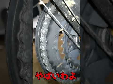 「超絶閲覧注意」クロスバイクにとんでもない生き物が絡みついていた・・・#コウガイビル#クロスバイク