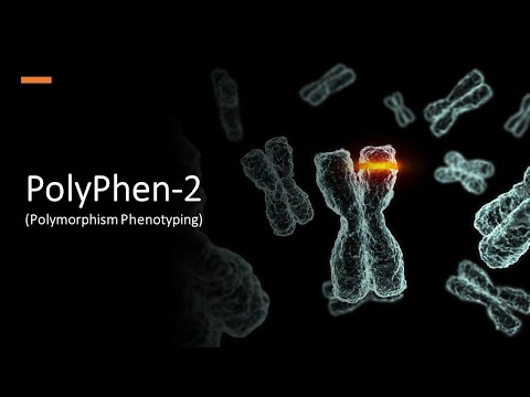 PolyPhen-2 (Polymorphism Phenotyping)