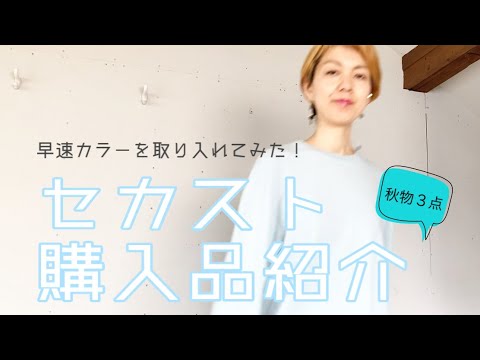 【セカスト購入品紹介】超お買い得の秋物3点！早速カラーを取り入れてみた！｜古着｜メンズライク｜50歳｜168cm【going my way】