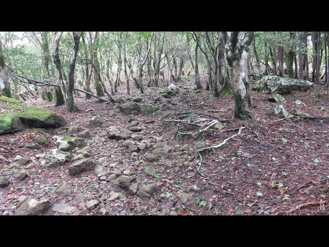 那岐山登山