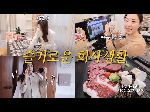 슬기로운 회사생활 vlog✨  사무실꿀템소개,  미팅촬영회식,탕비실채우기