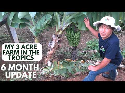 My 3 Acre Farm in the Tropics - 6 Month Update:  What I'm Planting