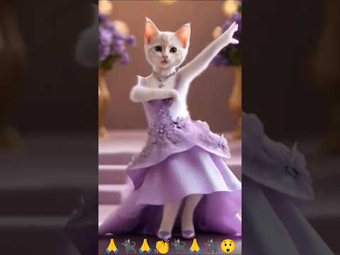 kite Bil Dyson ki awaaz mein Billi dance karne wala Raat ke aaunga main tujhe le jaunga main film#