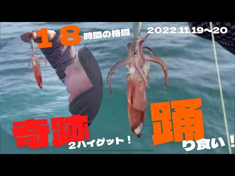 嬉しくて食べちゃいたい！マメイカ釣りは難しいのです！